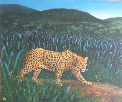 leopard
