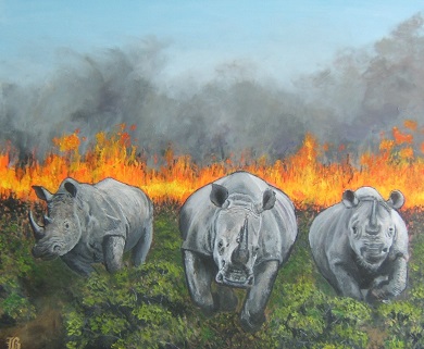 rhinos