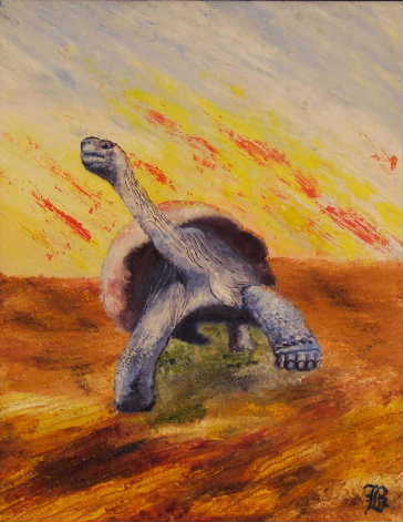 tortoise