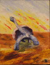 tortoise