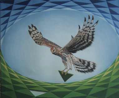 harrier