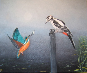 kingfisher