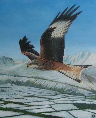 redkite